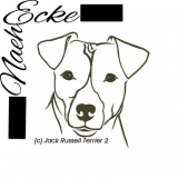 Jack Russell Terrier 02