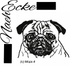 Pug 04