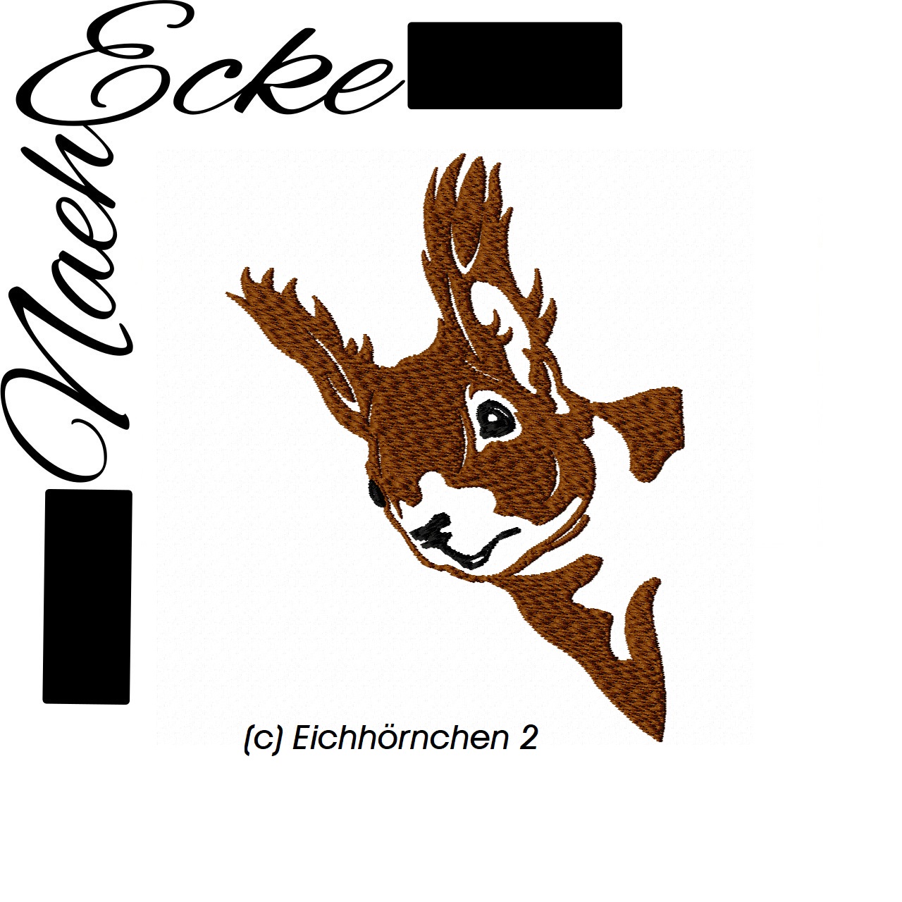 Eichhörnchen