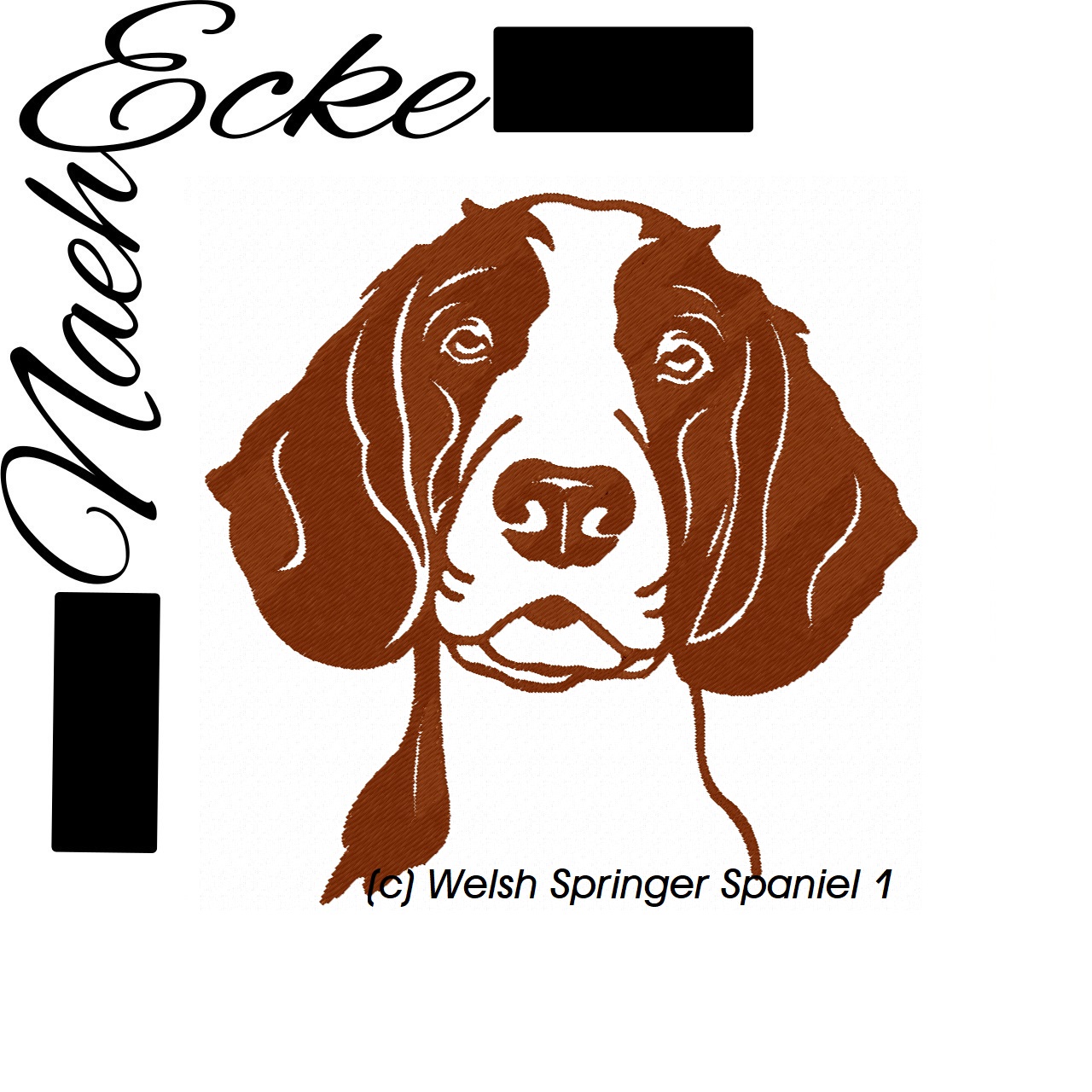 Welsh Springer Spaniel