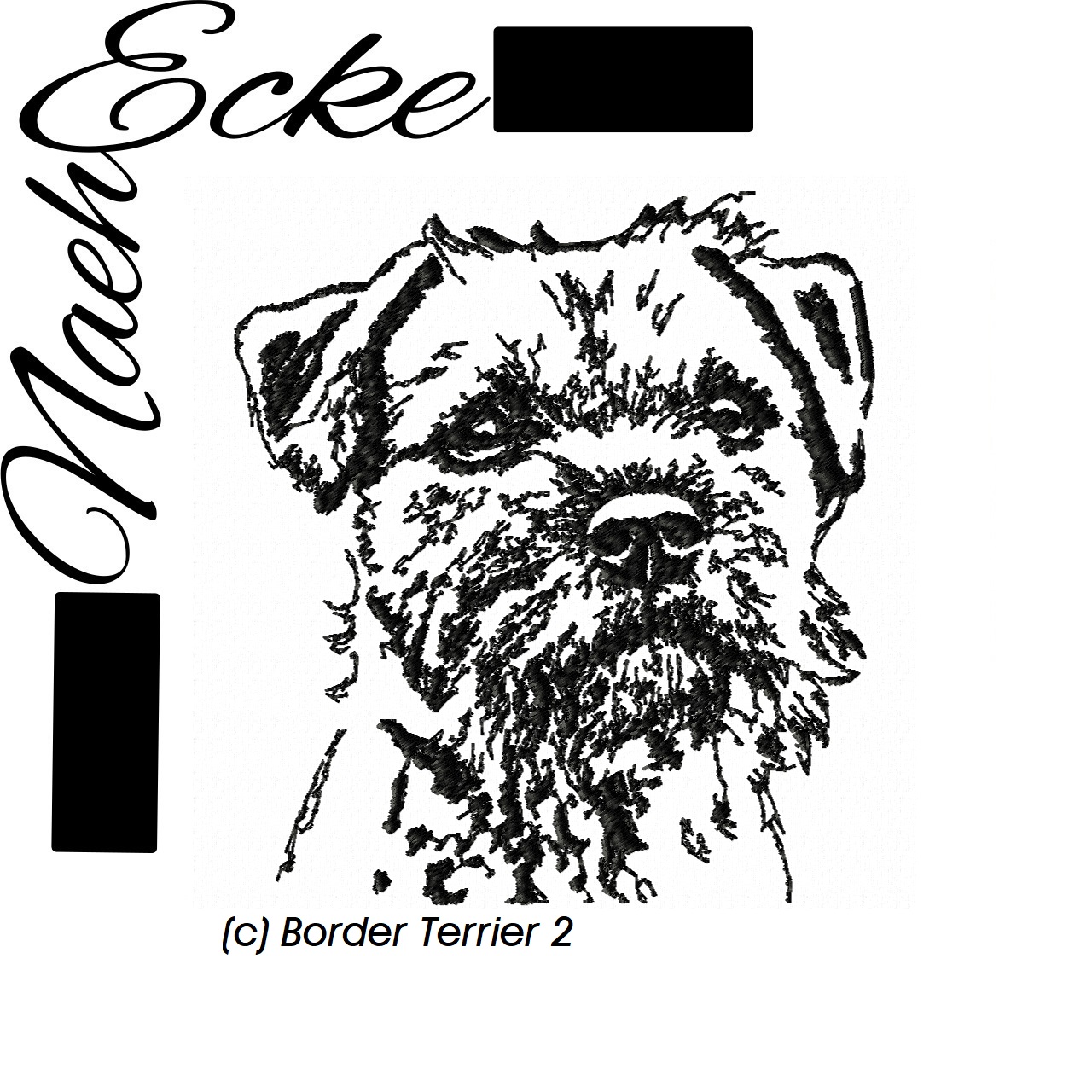 Border Terrier 2