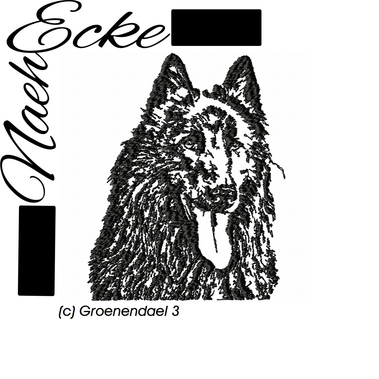 Belgischer Schäferhund Groenendael 3
