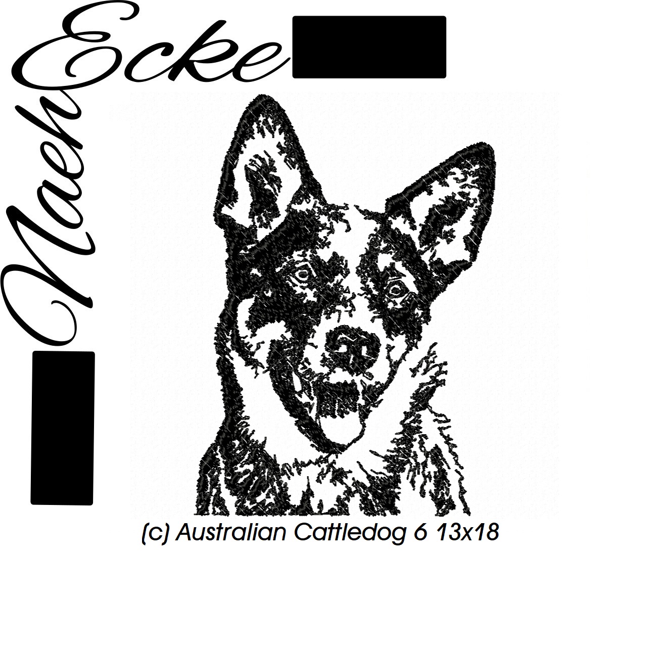 Australian Cattledog 6