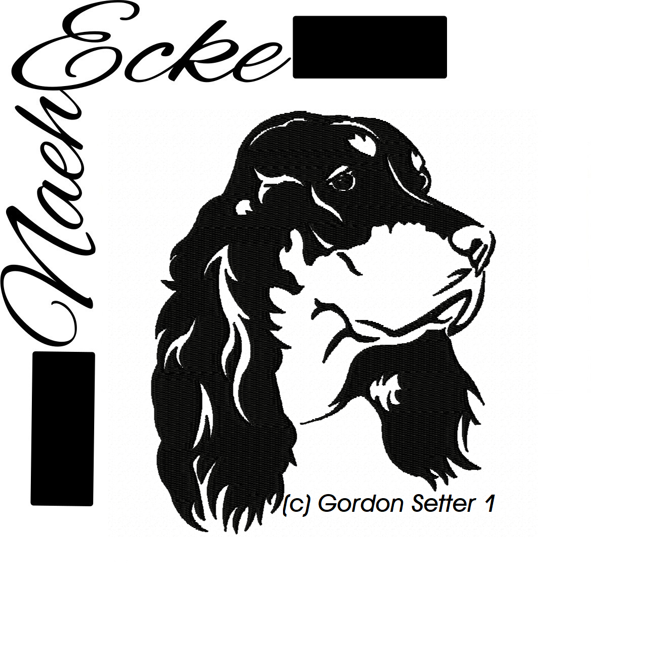 Gordon Setter 1