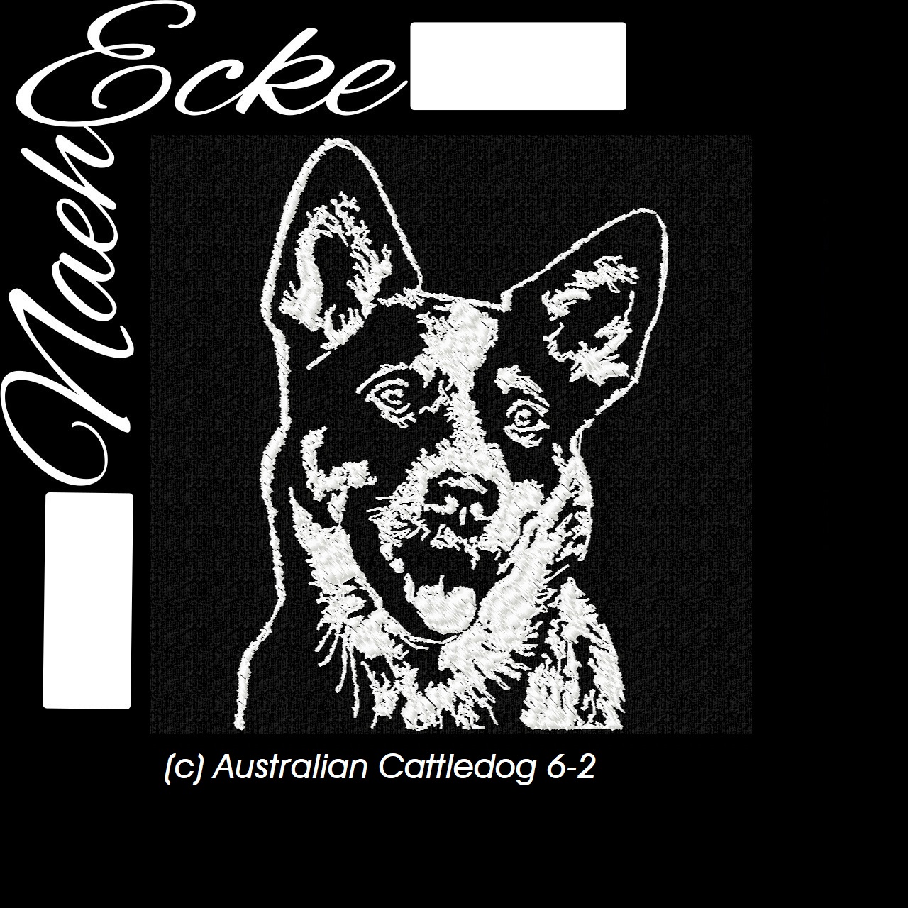 Australian Cattledog 6-2
