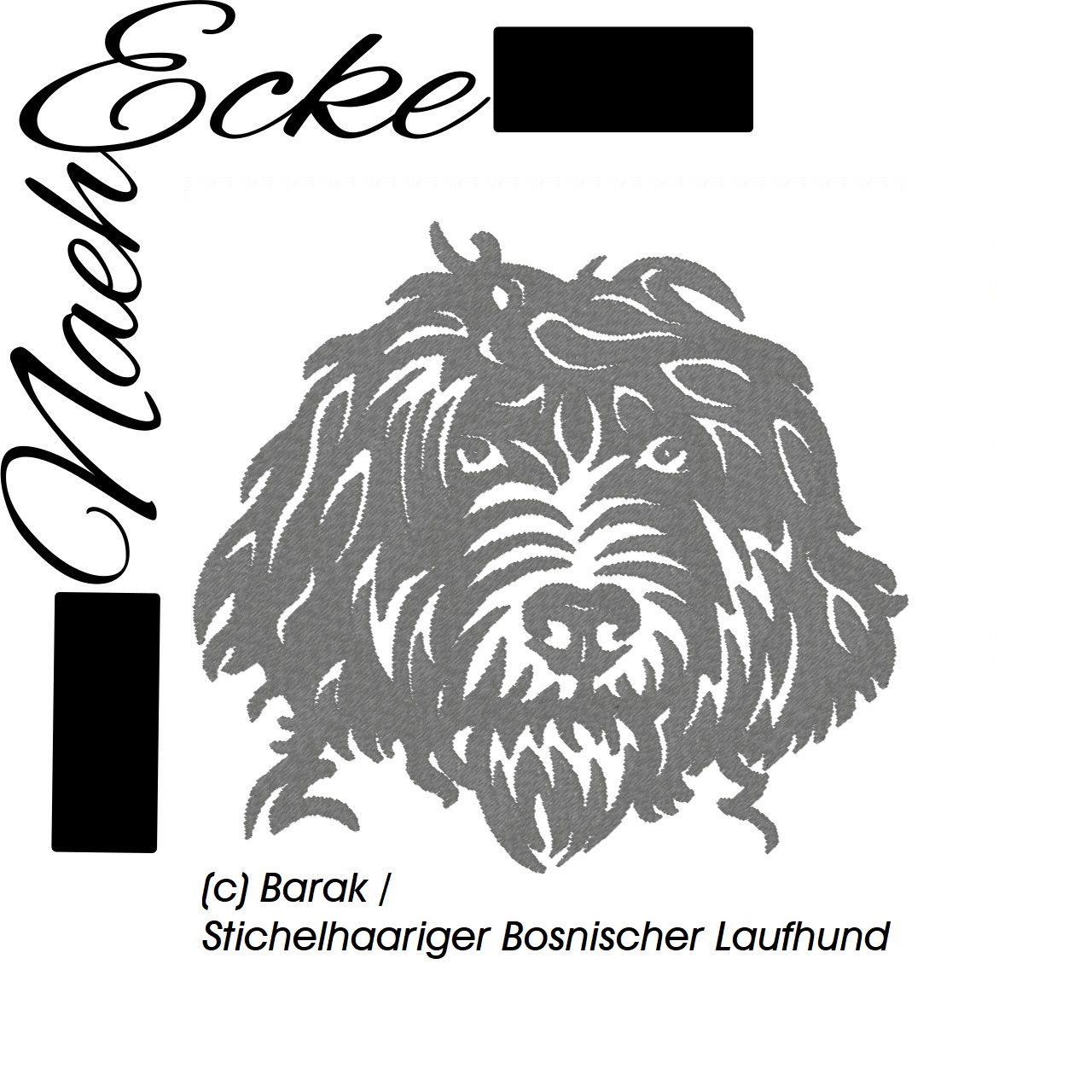 Barak / Stichelhaariger Bosnischer Laufhund