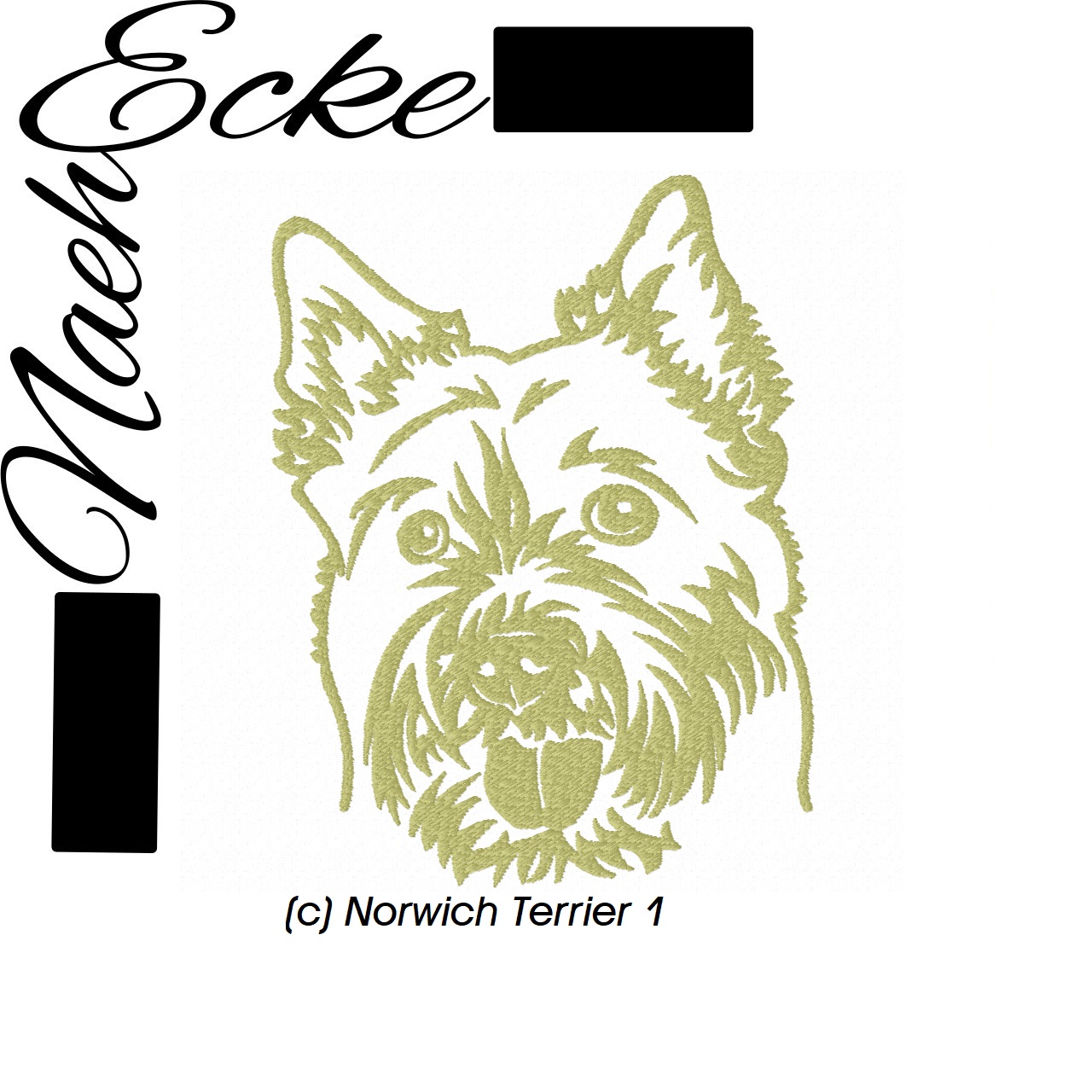 Norwich Terrier 1