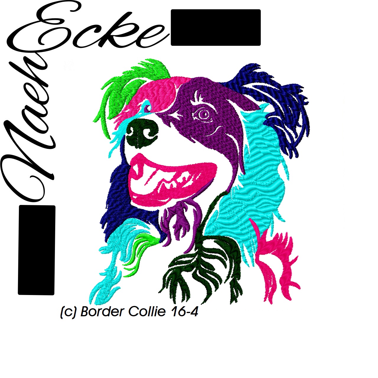 Border Collie 16-4