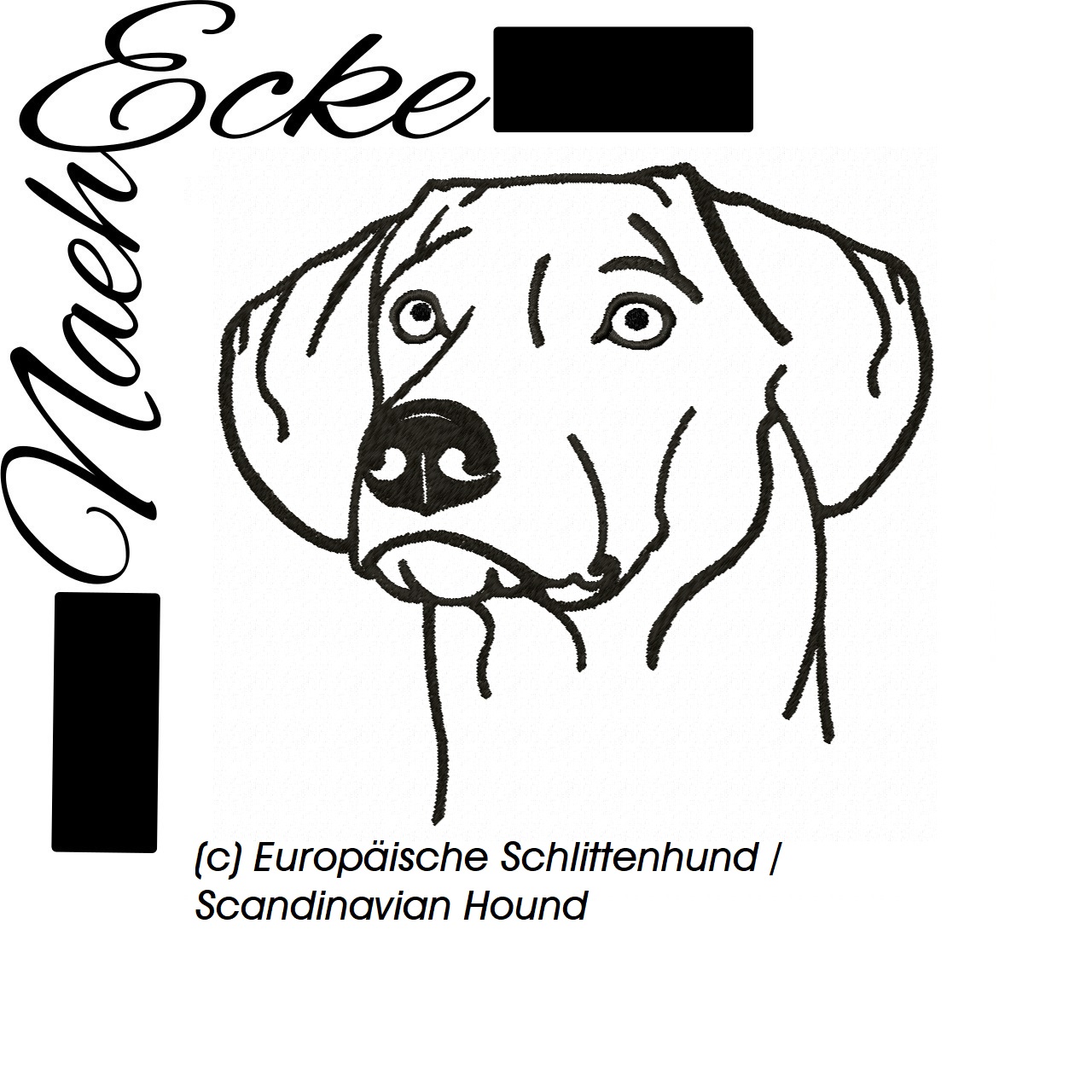 Europäische Schlittenhund / Scandinavian Hound