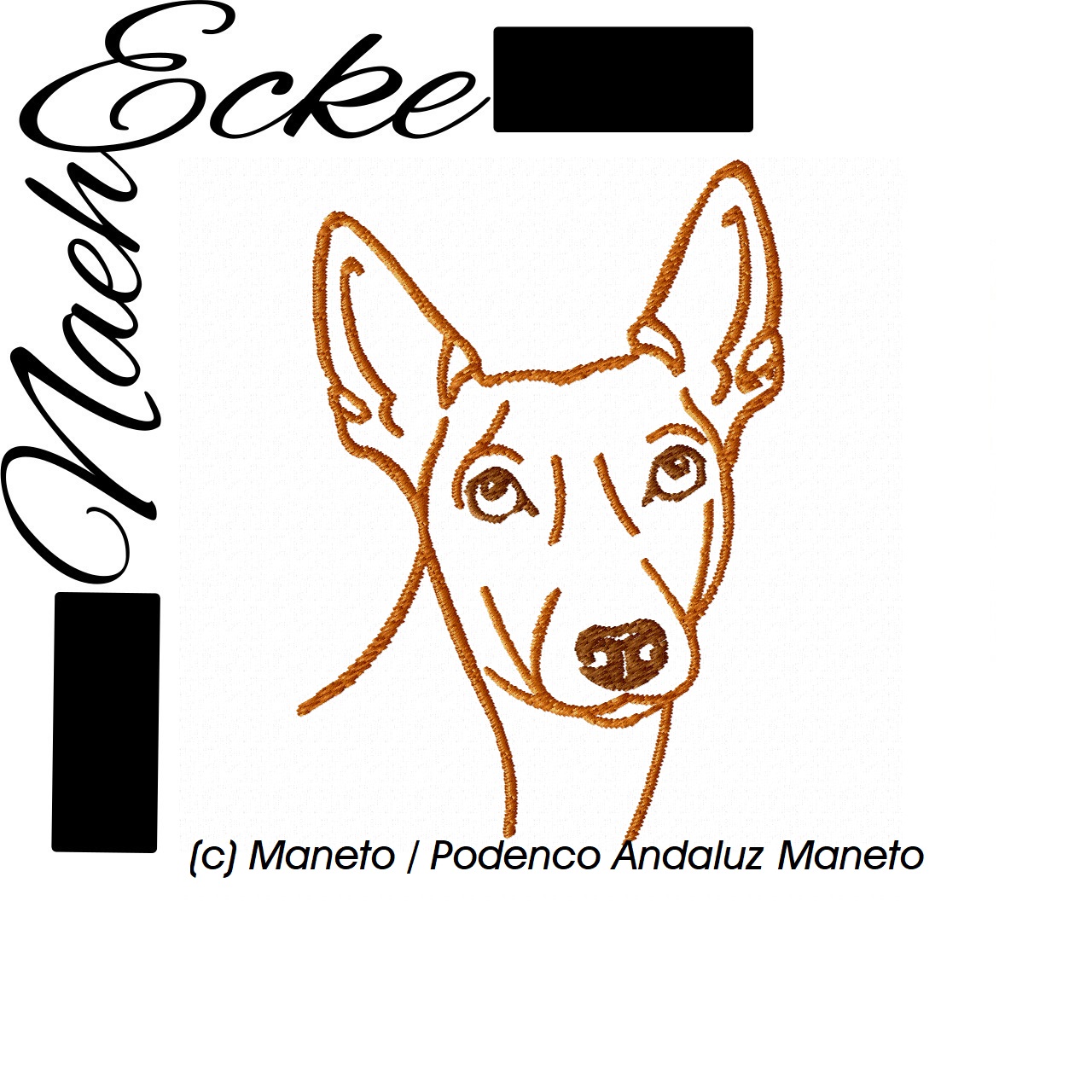 Maneto / Podenco Andaluz Maneto