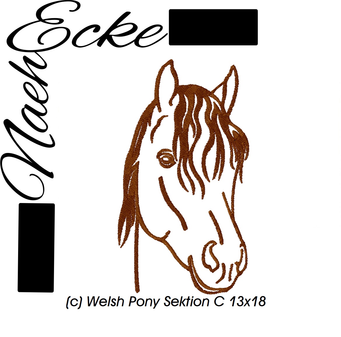 Welsh Pony Sektion C