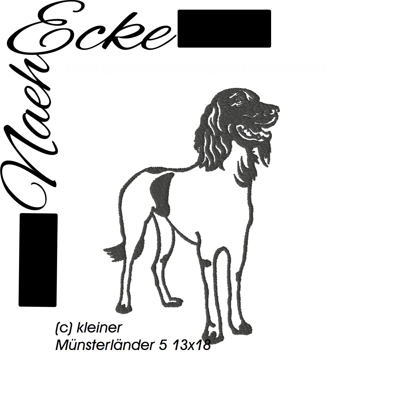 little Münsterländer 5