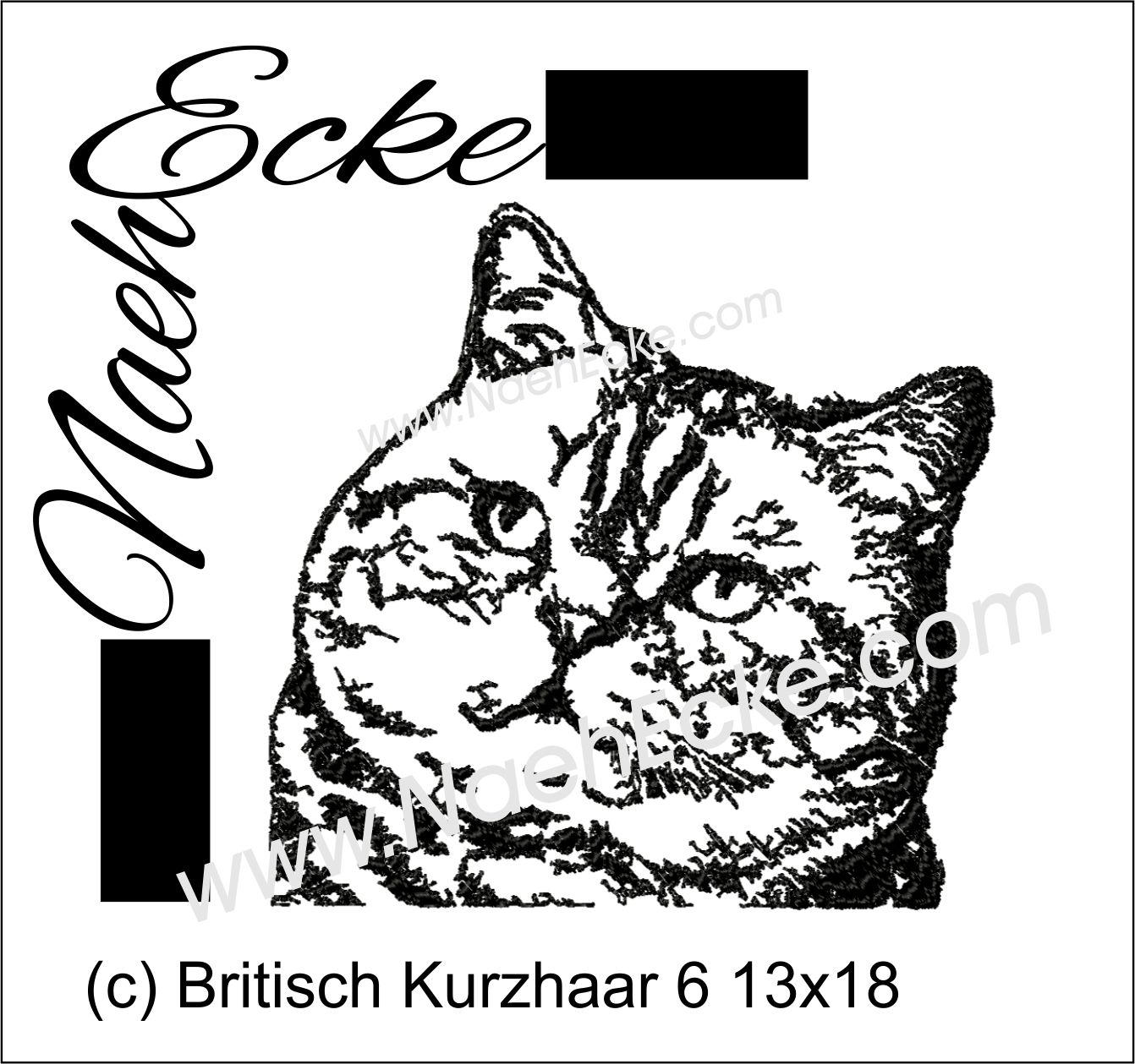 Britisch Kurzhaar 6