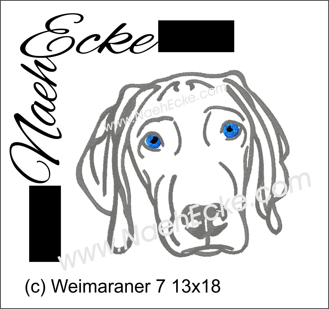 Weimaraner 07