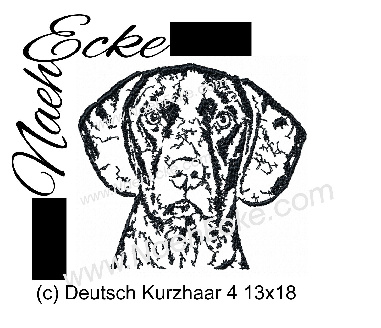 Deutsch Kurzhaar 4