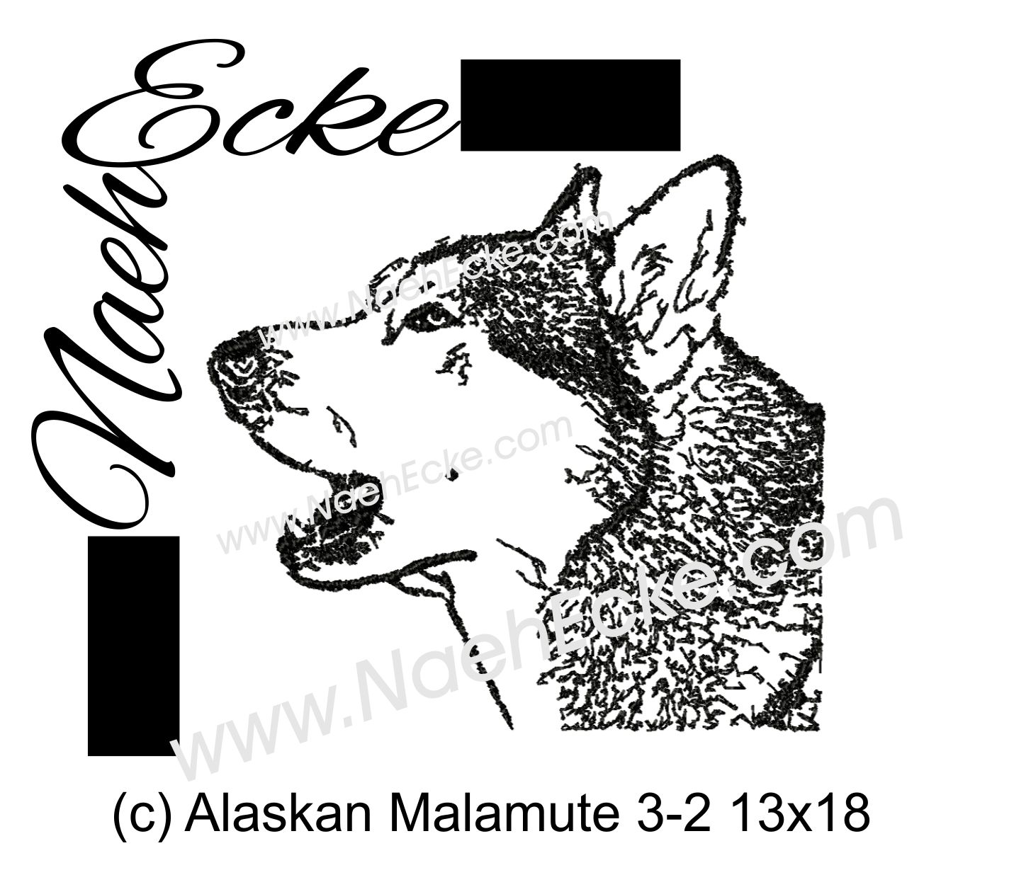 Alaskan Malamute 3-2