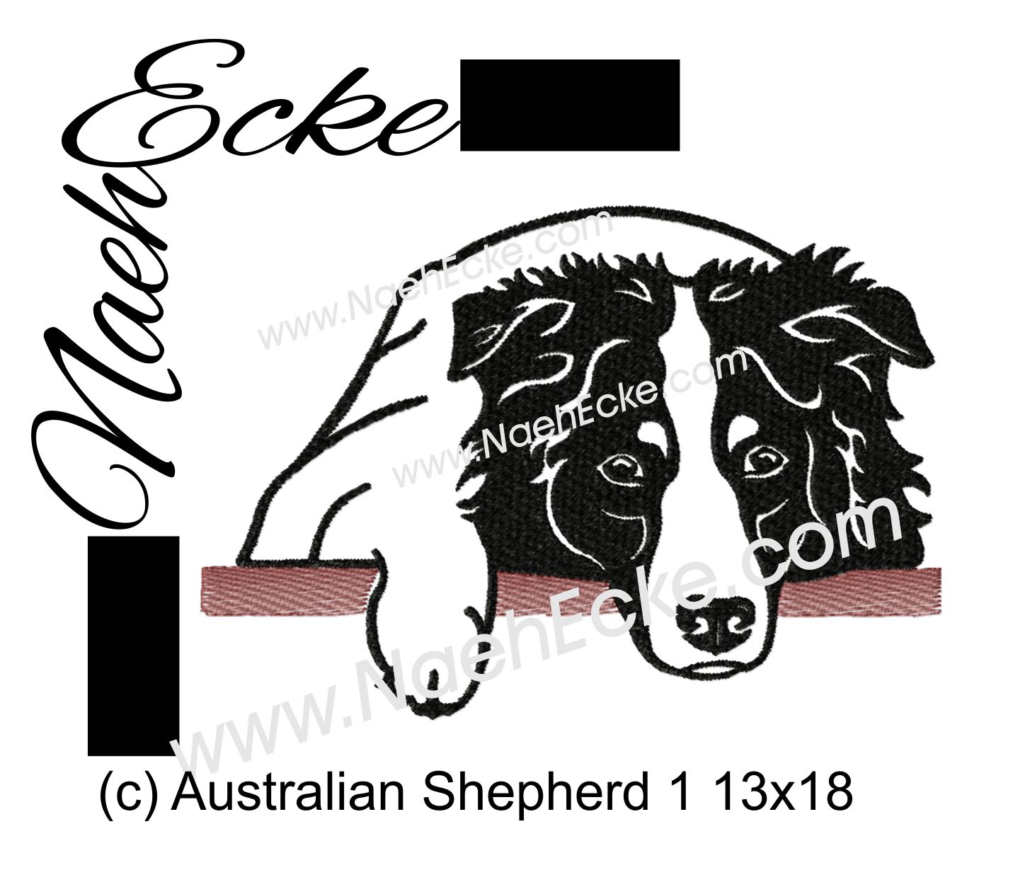 Australian Shepherd 01