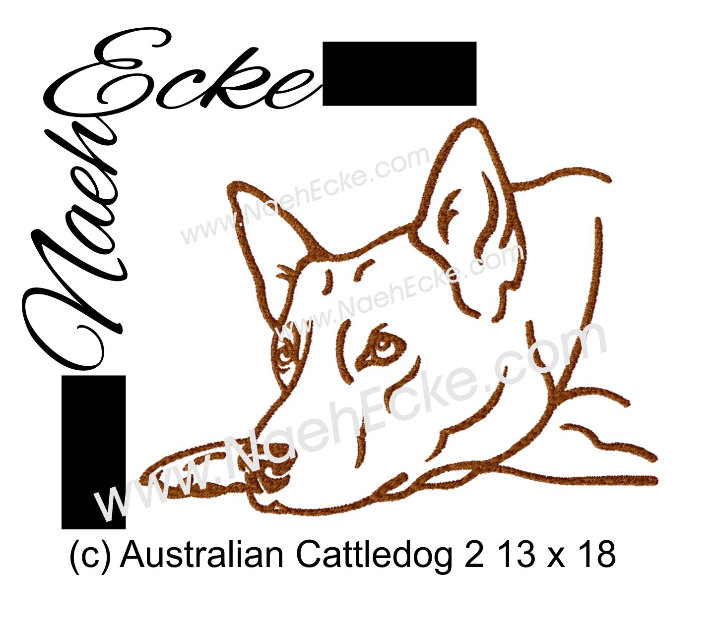Australian Cattledog 2