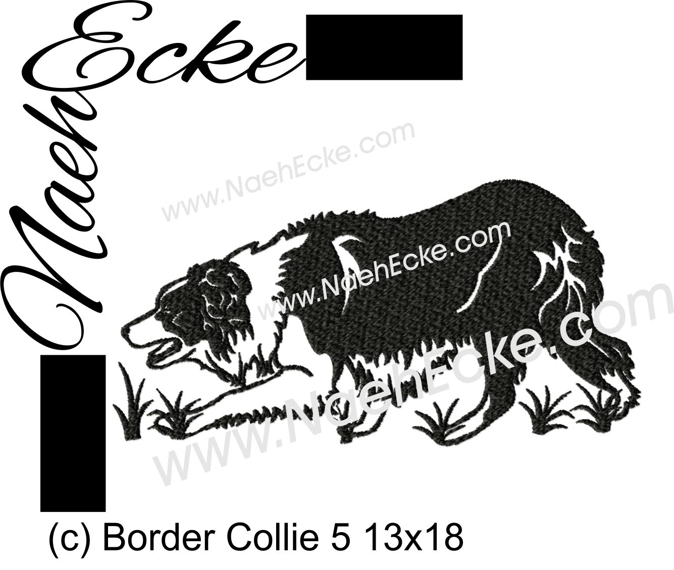 Border Collie 05