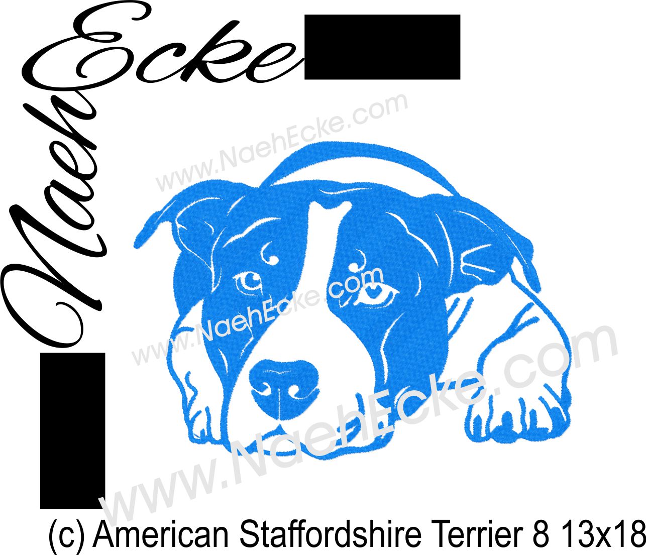 American Staffordshire Terrier 08