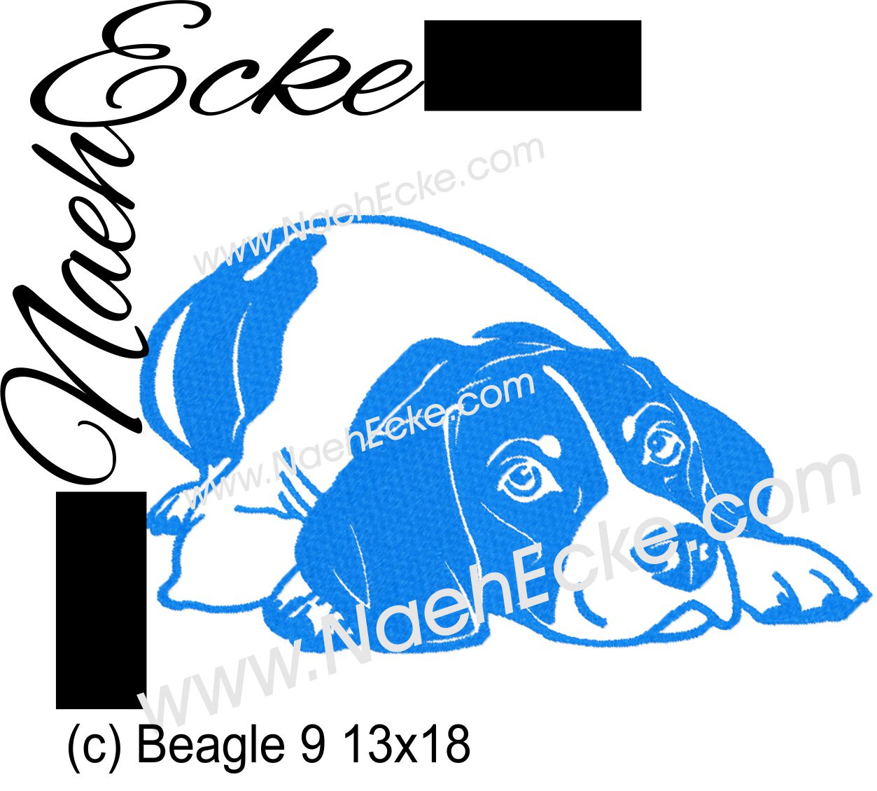 Beagle 9