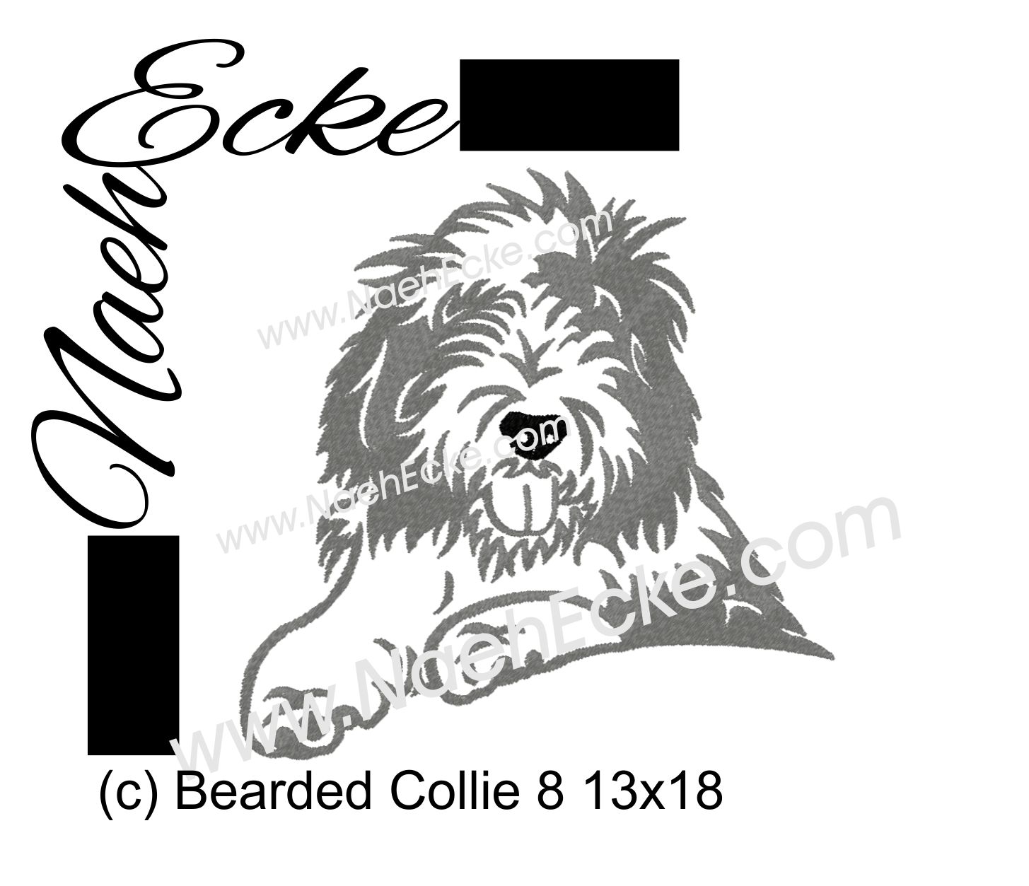 Bearded Collie 08