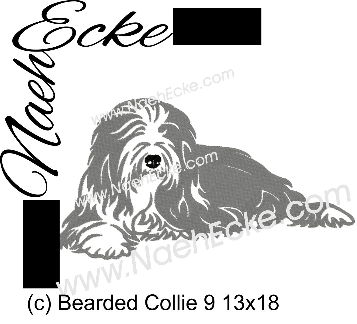 Bearded Collie 09