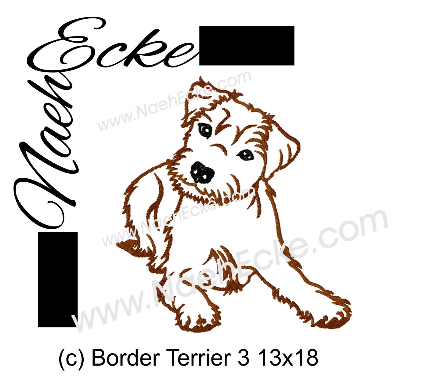 Border Terrier 3