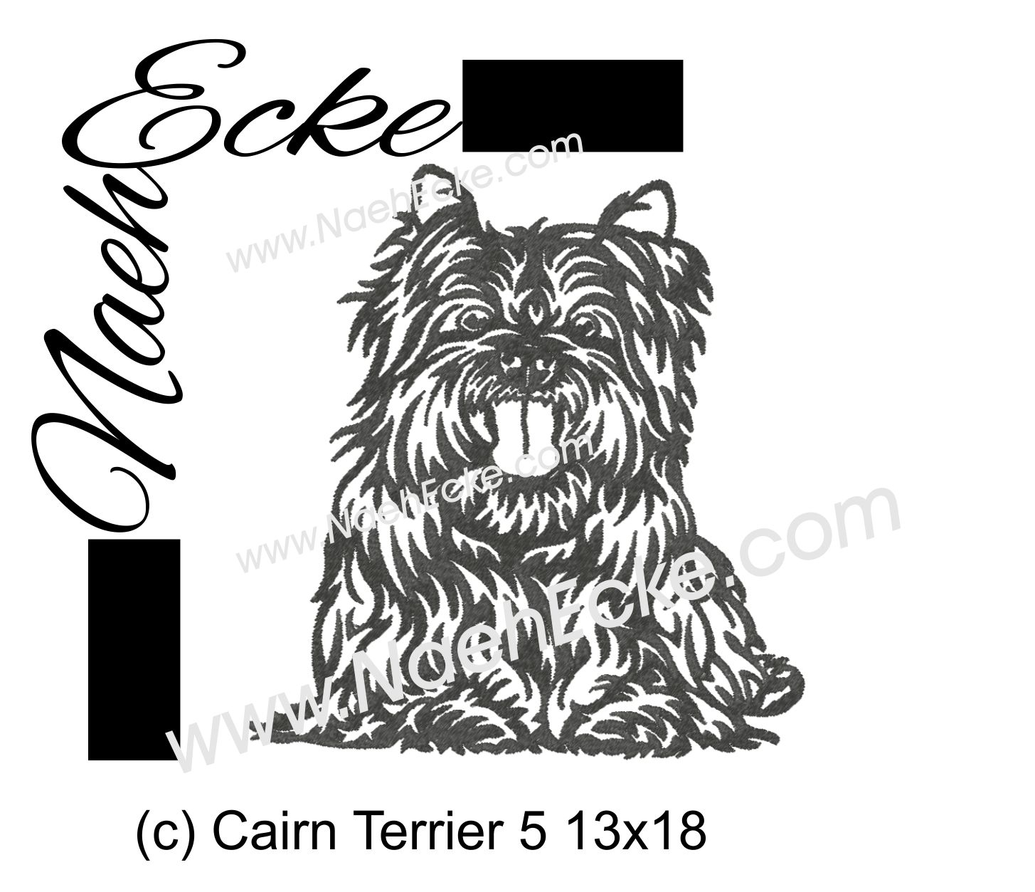 Cairn Terrier 5