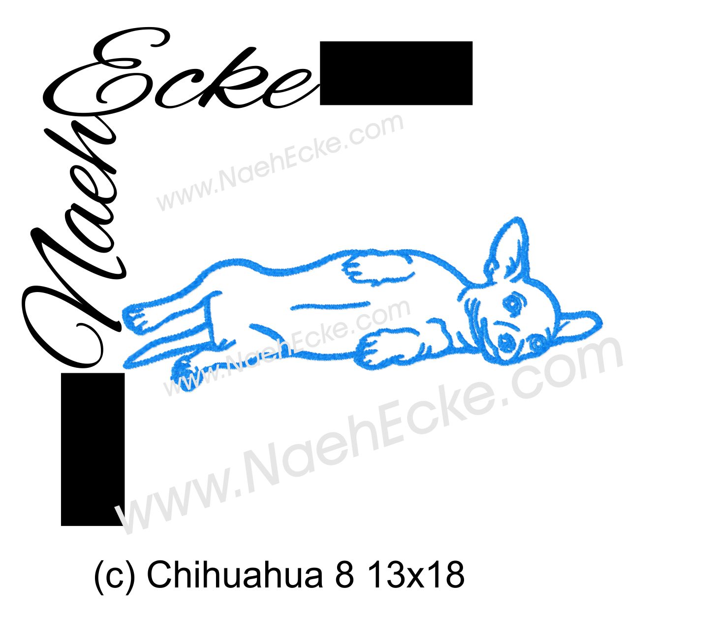 Chihuahua 10