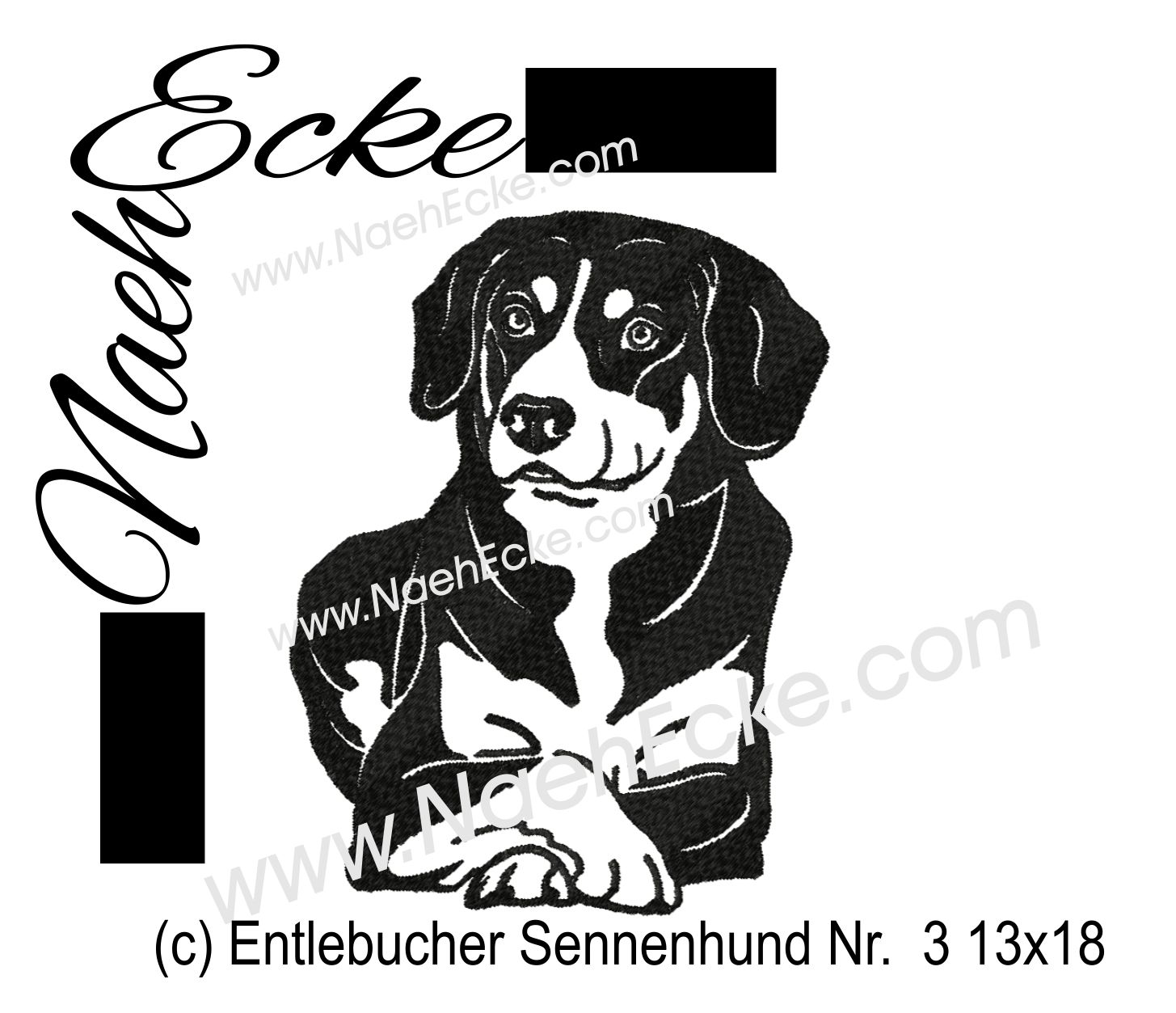 Entlebucher Sennenhund 3