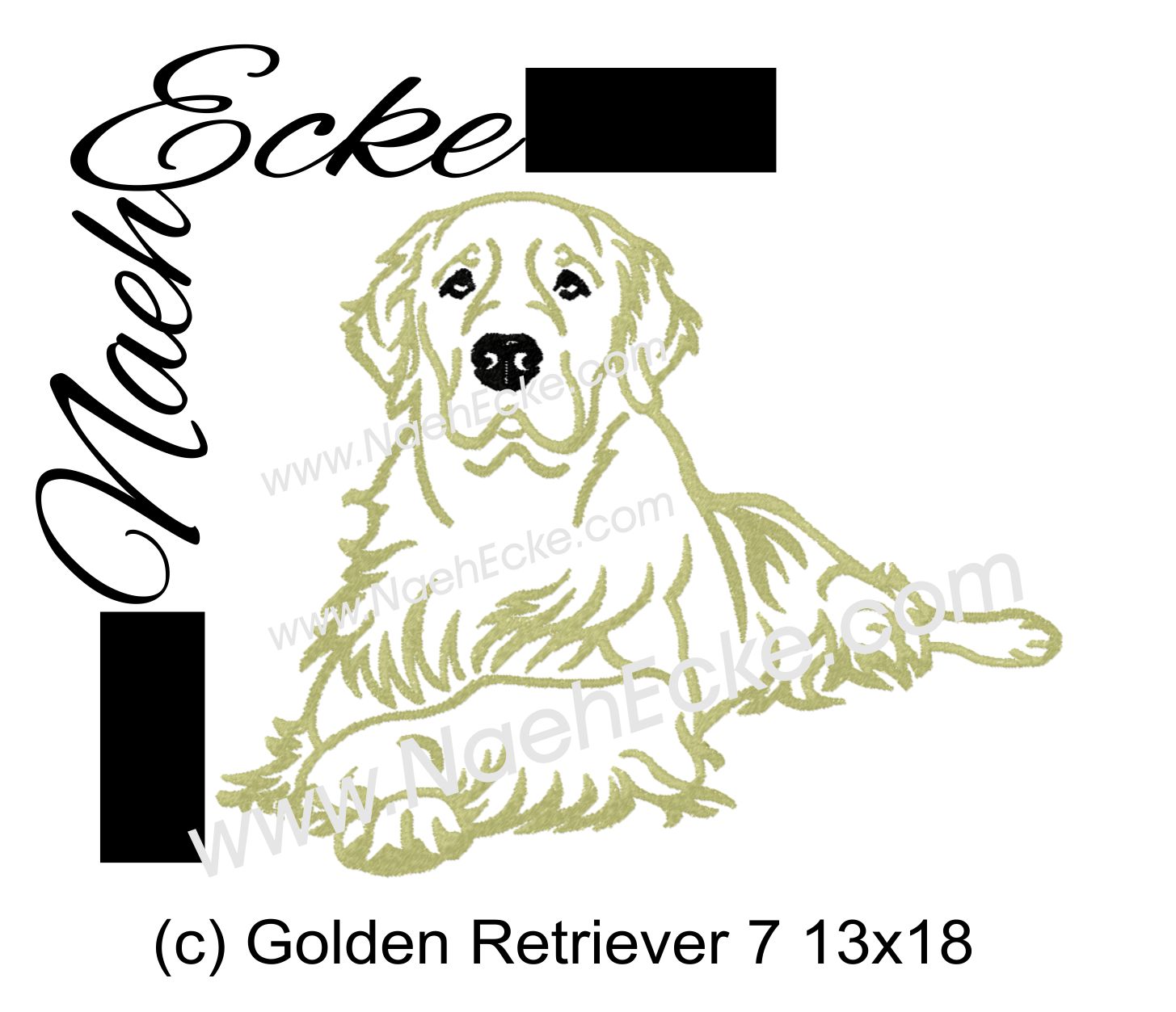 Golden Retriever 07
