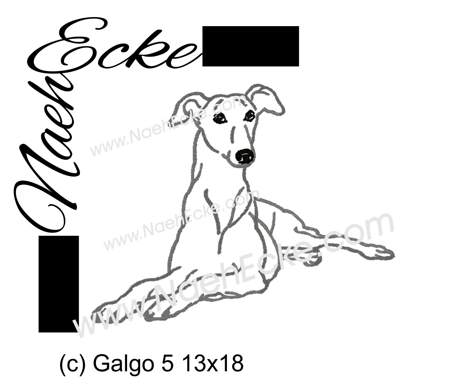 Galgo 5