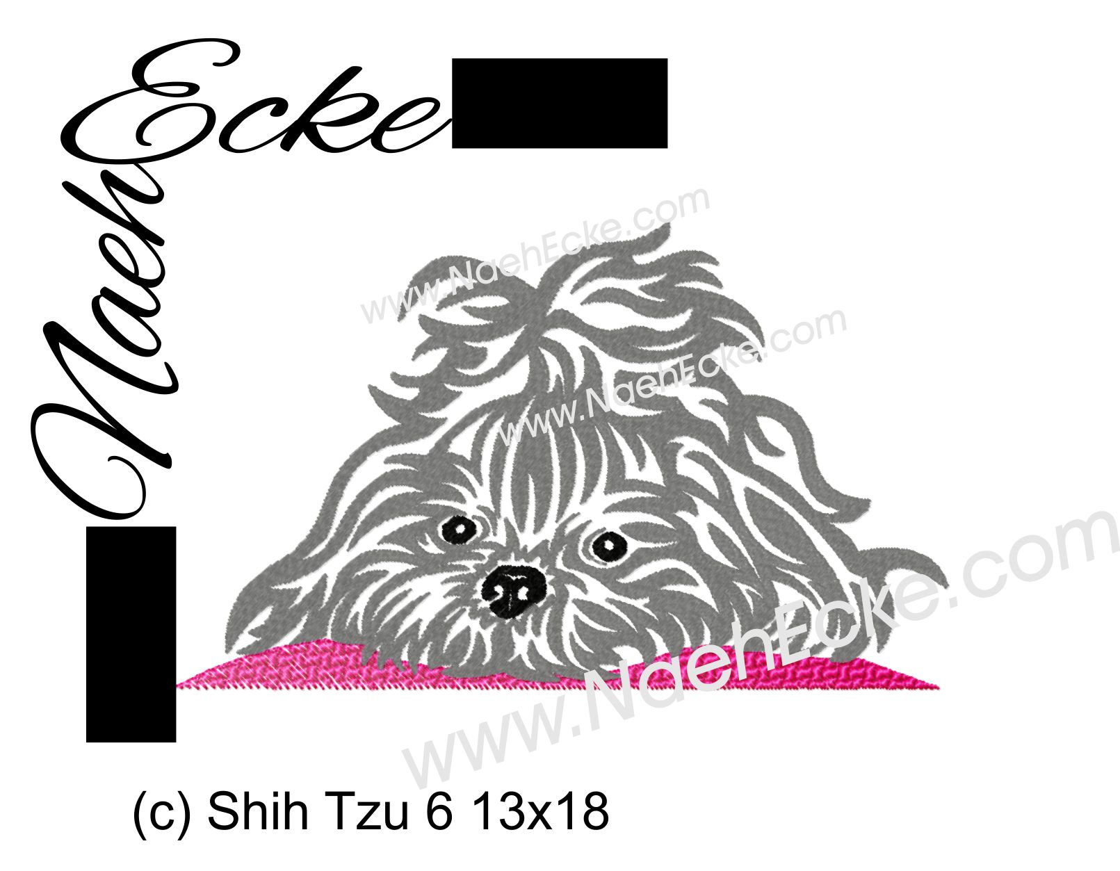 Shih Tzu 6