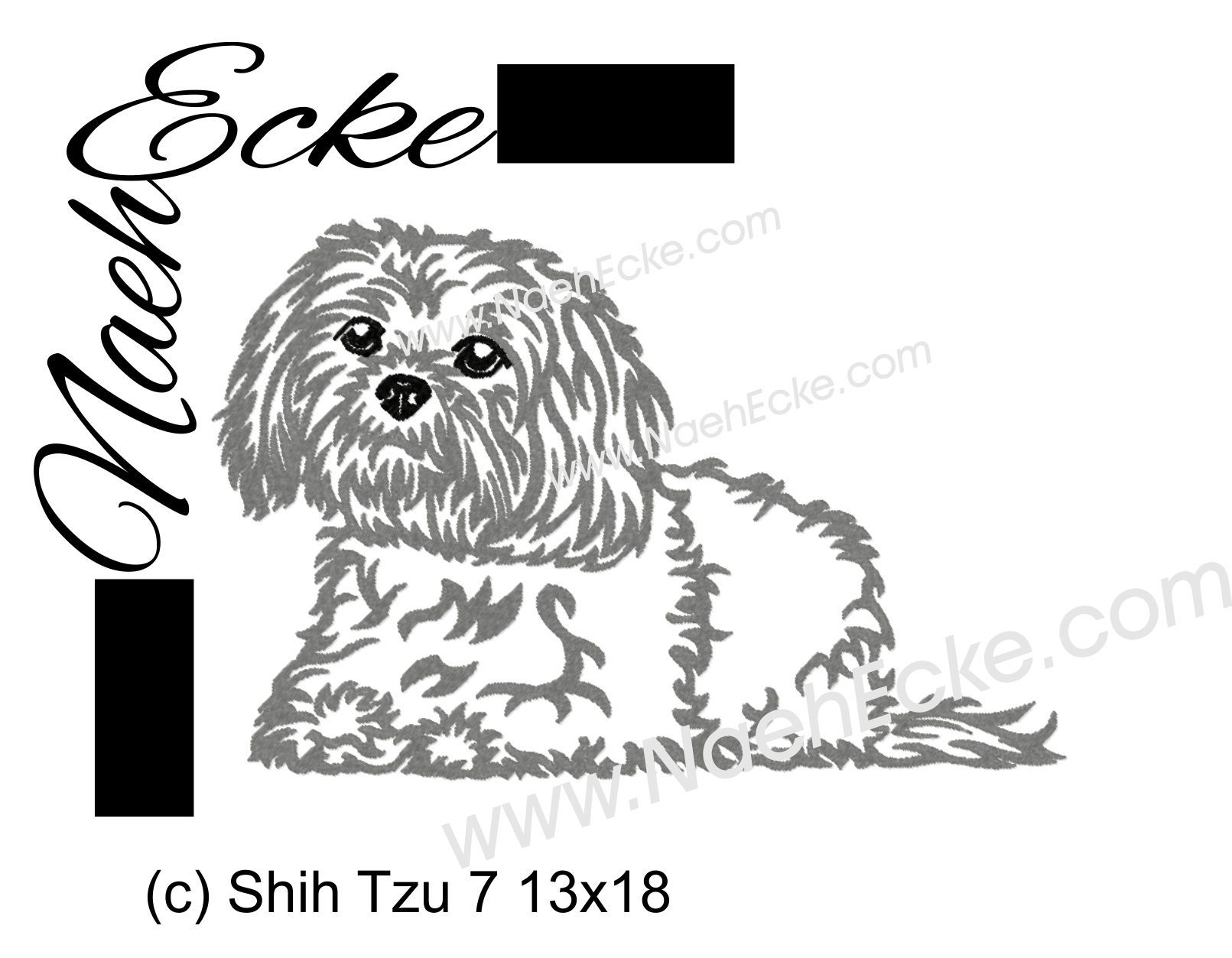 Shih Tzu 7