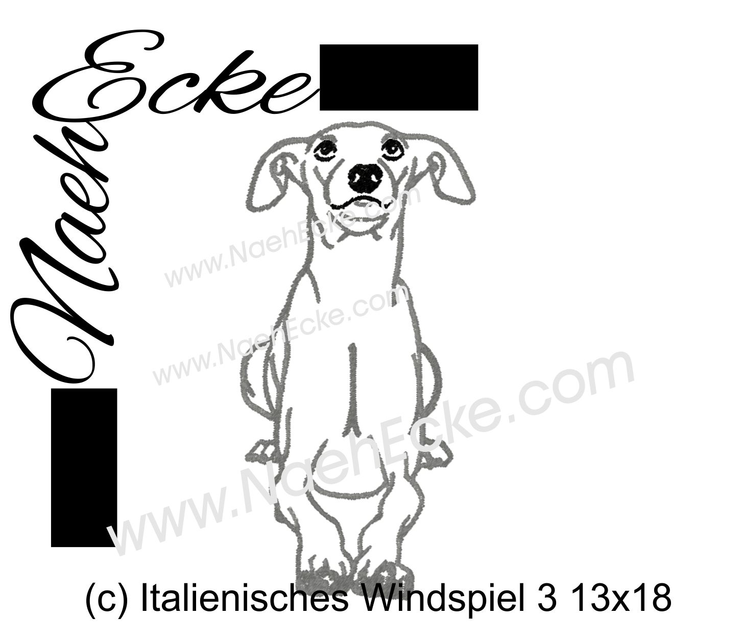 italian Greyhound