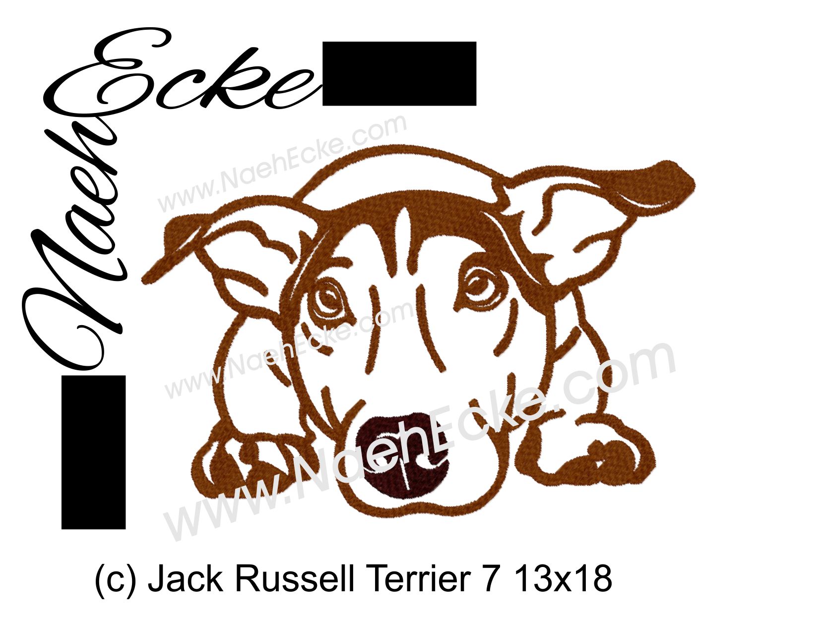 Jack Russell Terrier 07