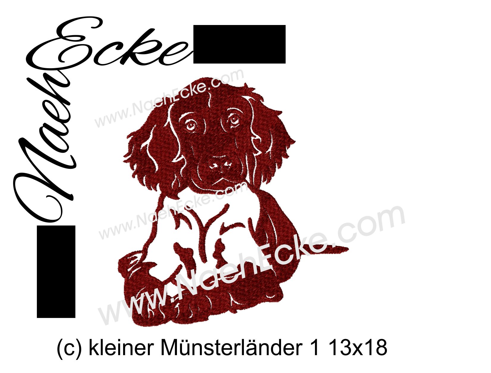little Munsterlander 1