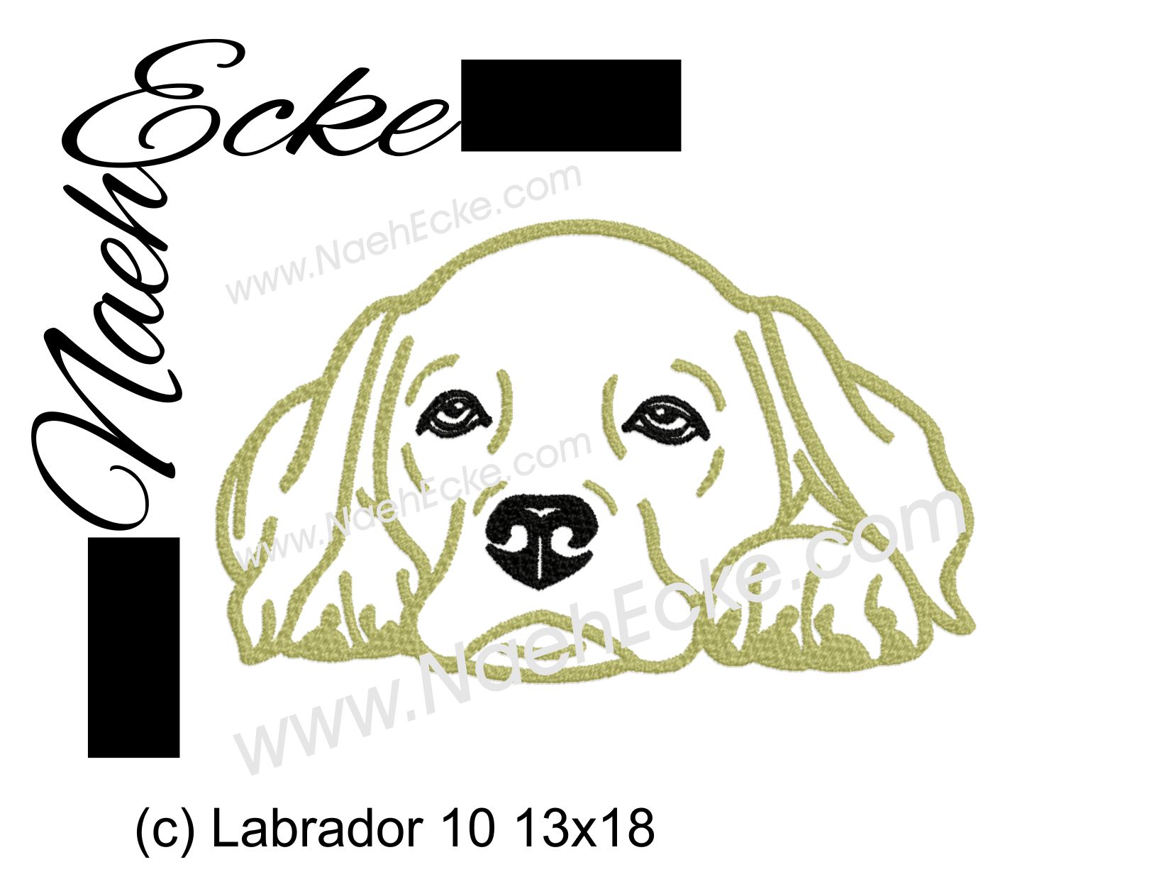 Labrador 10