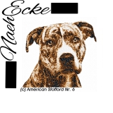 American Staffordshire Terrier 06