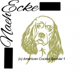 Amerikanischer Cockerspaniel