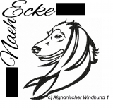 Afghanischer Windhund 1