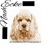 Amerikanischer Cockerspaniel 2