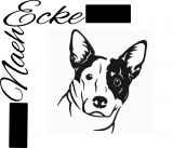 Australian Cattledog 3
