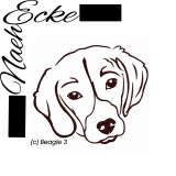 Beagle 3