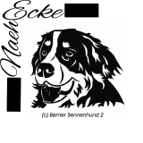 Berner Sennenhund 02