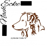 Border Collie 12