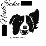 Border Collie 06