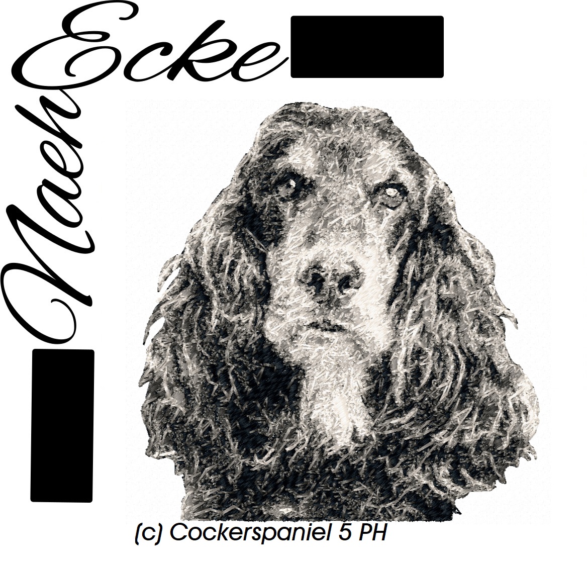 Cockerspaniel 05