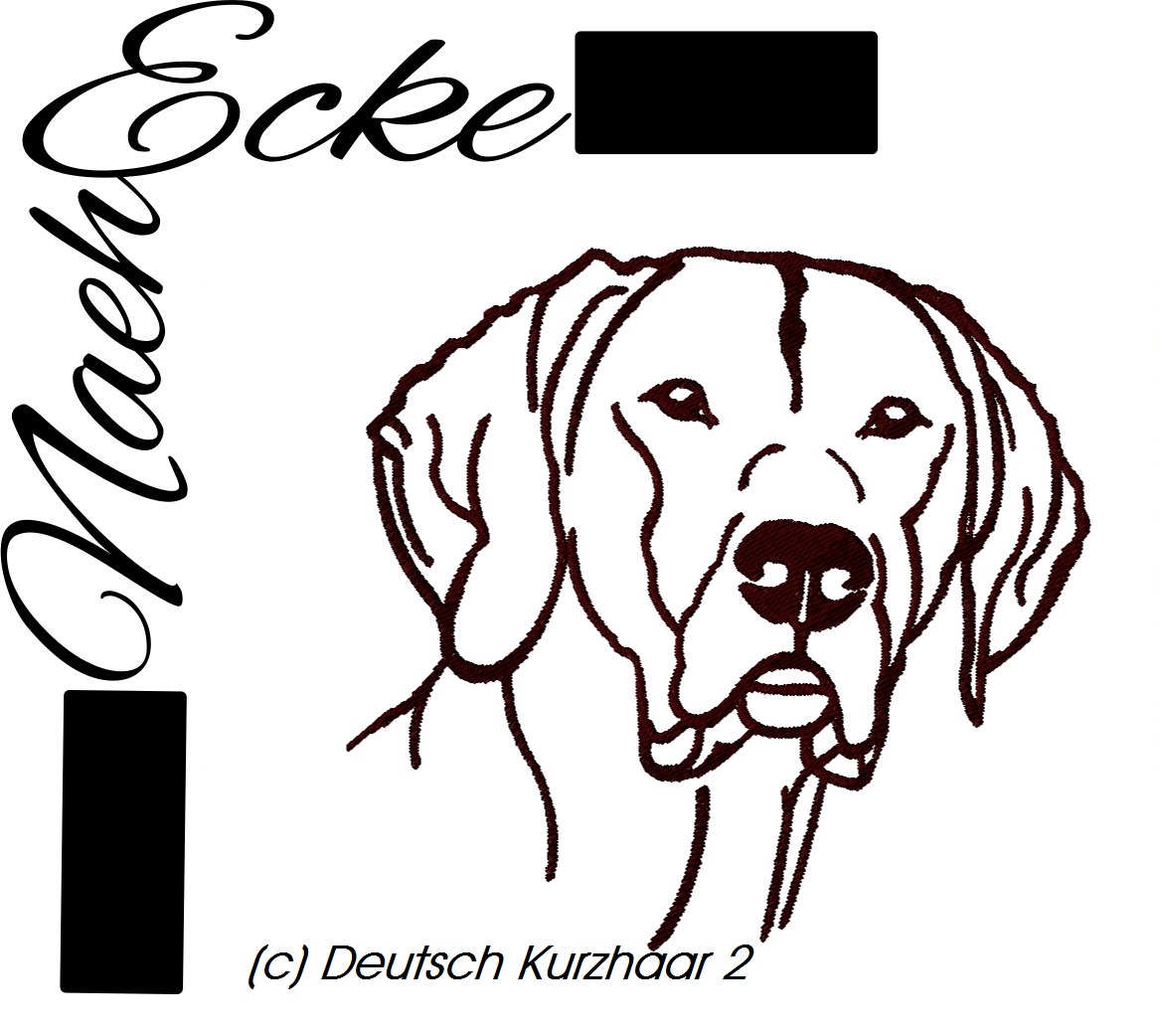 Deutsch Kurzhaar 2